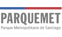 imagen_2025-08-21_161818599